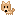 わんこ